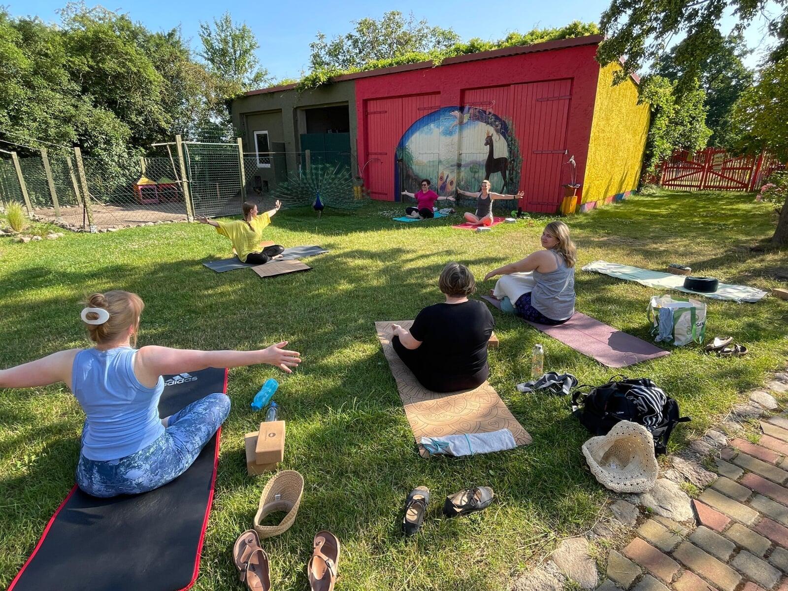 Yoga Gruppe beim Yoga mit Alpakas Event